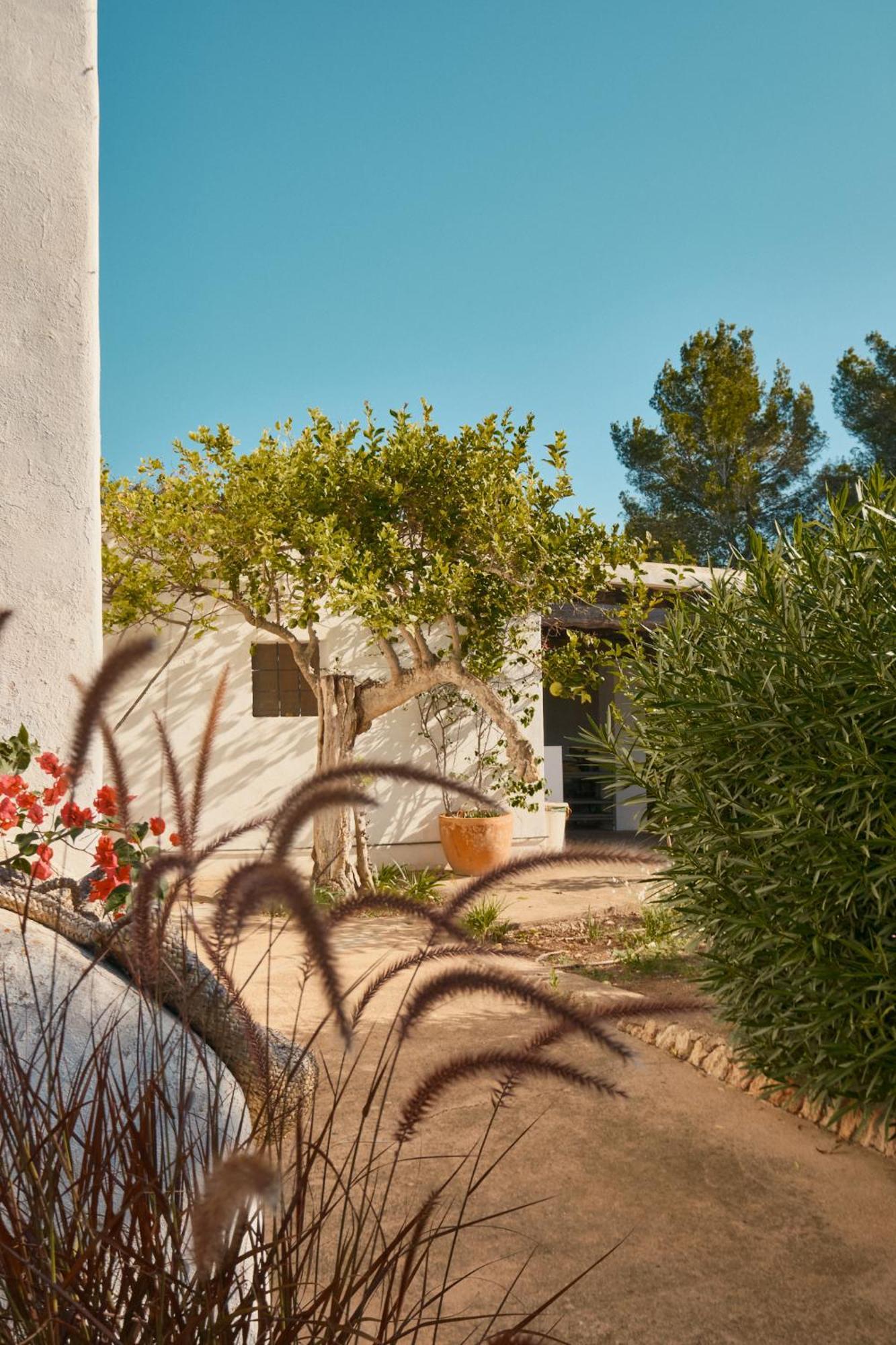 Hotel The Guardian House Santa Gertrudis  Esterno foto
